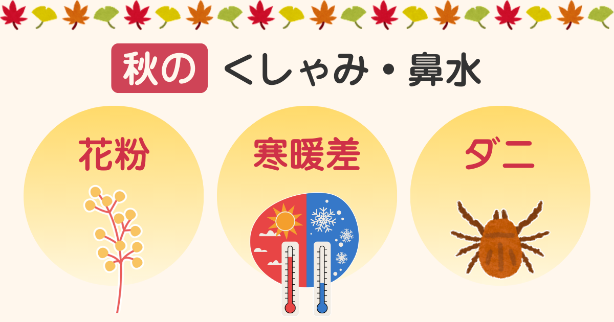 秋のくしゃみ・鼻水の原因イメージ図