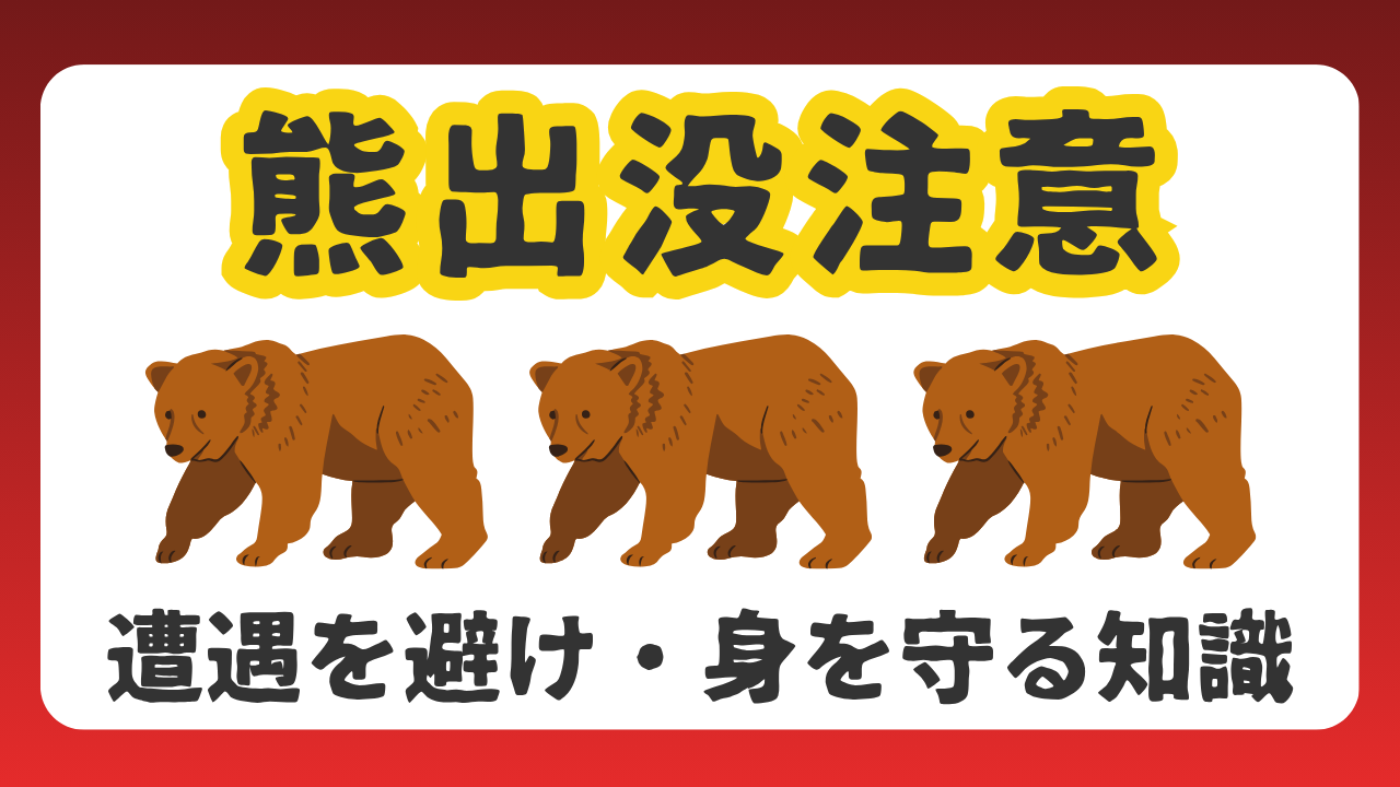 クマの出没が過去最多｜遭遇を避け身を守る方法まとめのアイキャッチ画像