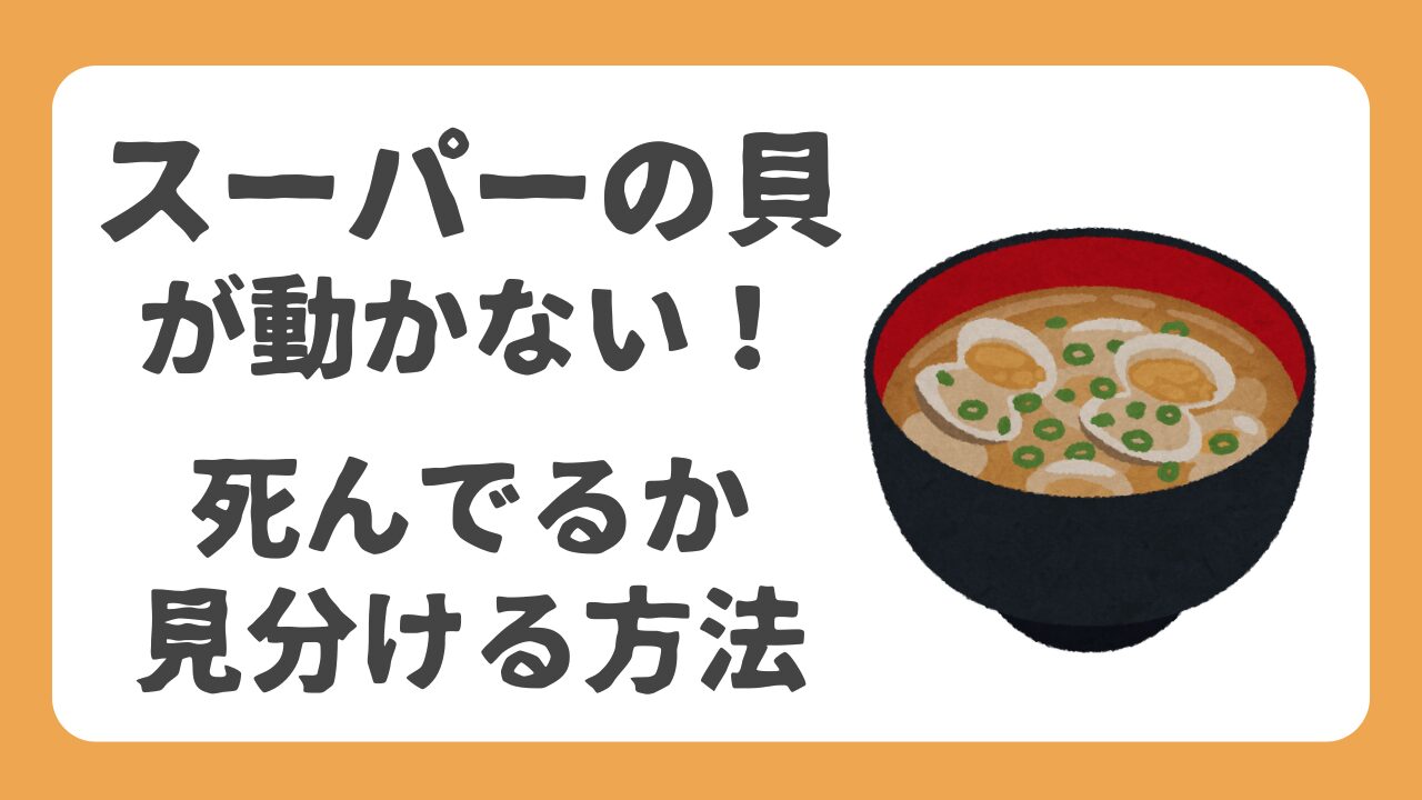 【ひな祭り】スーパーで買った貝が動かない！死んでる？見分け方と砂抜きのコツ