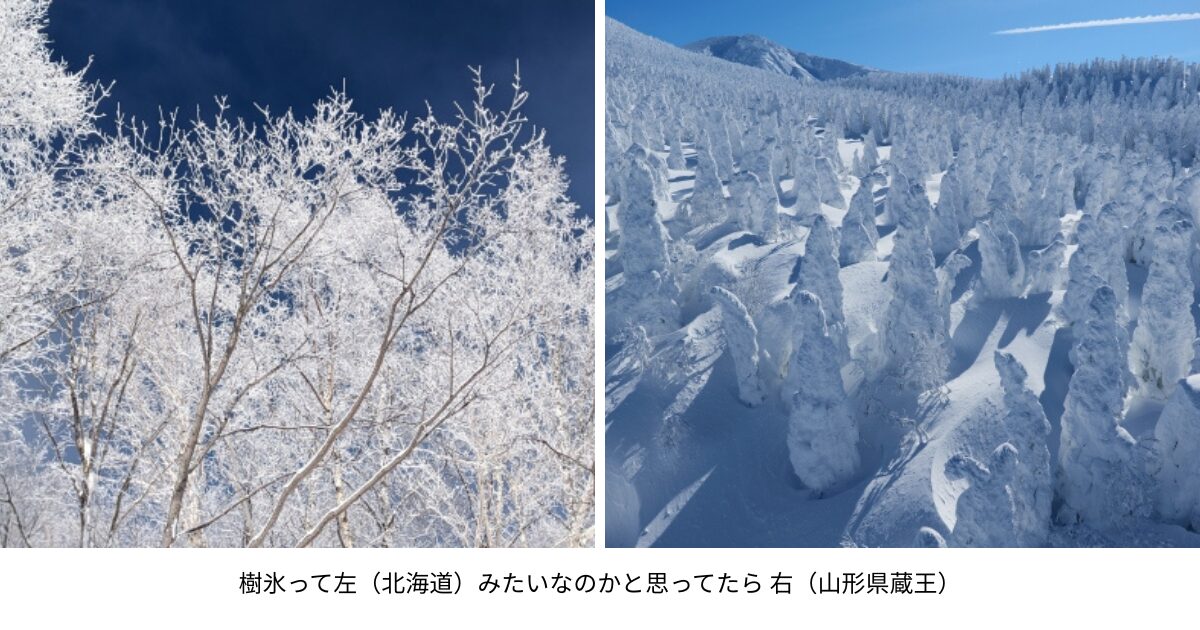 樹氷のフリー画像