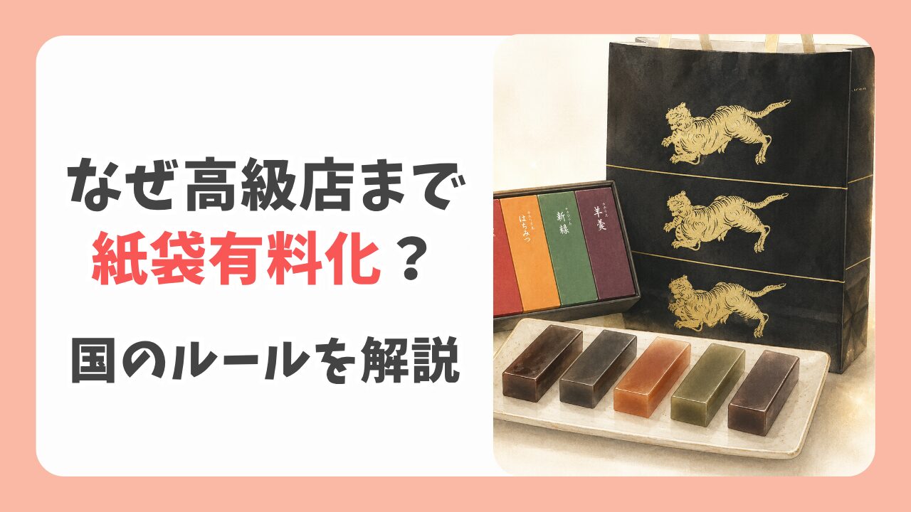 なぜ高級店まで紙袋有料化？おかしいと言われる理由と国のルールを解説